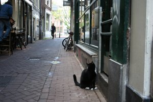 Дык, уже с годик "зажаты" в рамках страны. Может  кому интересно... 
Например это (Амстердам)