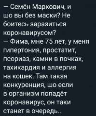 Прикольные и смешные картинки