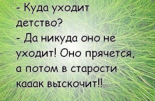 Прикольные и смешные картинки
