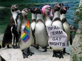 Прикольные и смешные картинки