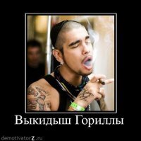 Во-во, Ти-мОти, мля.