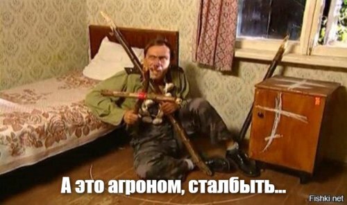 Прикольные и смешные картинки