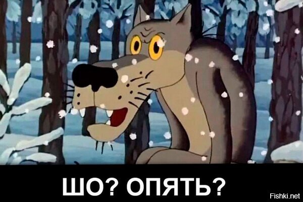 Кольщик, наколи мне всё подряд. Крест немецкий, рядом кошку с тапками