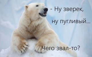 Прикольные и смешные картинки