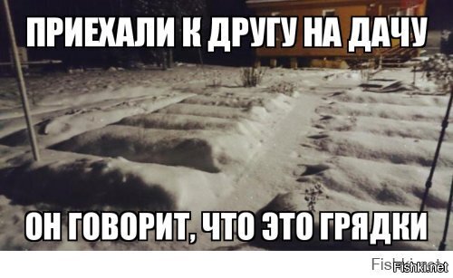 Прикольные и смешные картинки