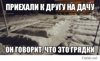 Прикольные и смешные картинки