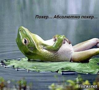 У сына Плющенко заподозрили психическое расстройство из-за его выражения лица