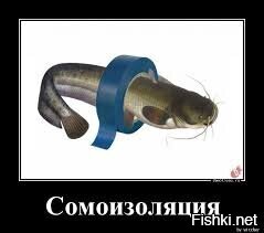 "Что делают симпатичные девушки на сомоизоляции"... Специально так написанный заголовок?