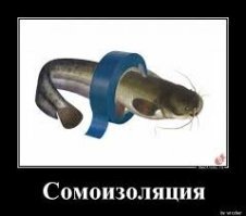 "Что делают симпатичные девушки на сомоизоляции"... Специально так написанный заголовок?