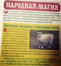 Котиков то за что? Ироды!