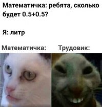 Прикольные и смешные картинки