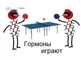 Немного интересного о человеческих гормонах