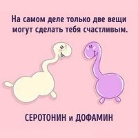 Немного интересного о человеческих гормонах