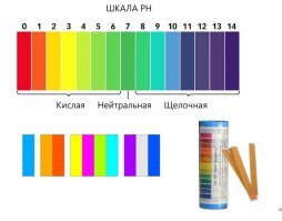 Жители одного из российских городов встревожены ручьями кровавого цвета