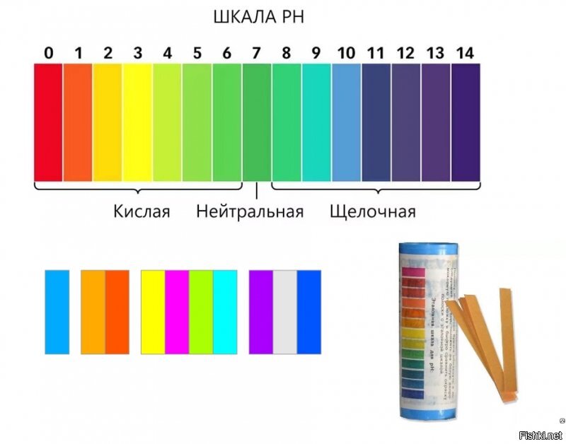 Жители одного из российских городов встревожены ручьями кровавого цвета