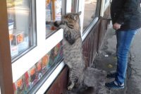 Прикольные и смешные картинки