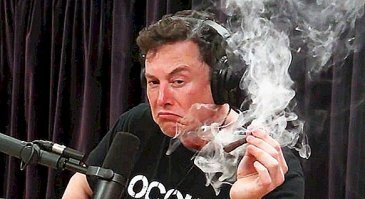 "Секрет популярности, успешности и продуктивности Илона Маска"
======================