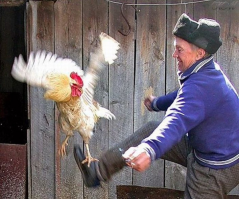 Когда пинка тебе отвесил!