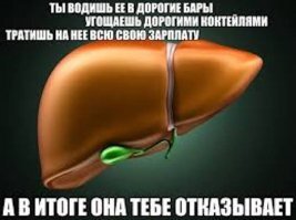 Неблагодарная печенка !