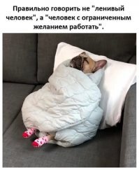 Смешные картинки и не очень