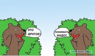 В США полицейскому пришлось применить оружие против набросившейся на него собаки