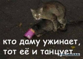 Картинки с надписями