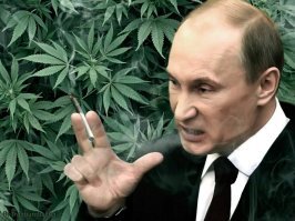 Голландский ресторан собирается посадить клиентов в теплицы