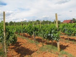 И я там был в 2007, чуть ниже в Зеленой лагуне. Нам тоже очень понравилось.