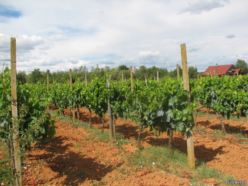 И я там был в 2007, чуть ниже в Зеленой лагуне. Нам тоже очень понравилось.