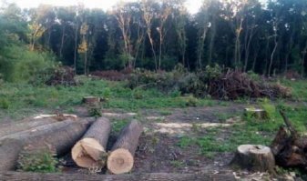 По закону относятся. Но либерде видимо закон не писан. Им хоть что лишь бы не по закону. На Украине, в Карпатах вопрос с самовольной вырубкой стоит очень тяжело. Карпаты, Украина, пожалей браконьеров.