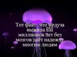 Авария дня. В Каменске-Уральском водитель врезался в электроопору