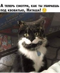 Прикольные и смешные картинки