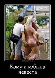 "«молодая, красивая, умная»"...