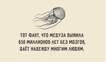 Полицейские встретили подсудимую через десять лет и не узнали её