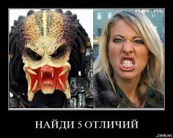 Лошадка сорвалась... Искать шел.