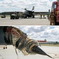 Австралийский F-111 после столкновения с пеликаном