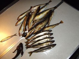 Ловля толстолоба