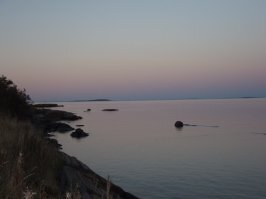 Белое море. Ездил ловить колюшку в первый раз.