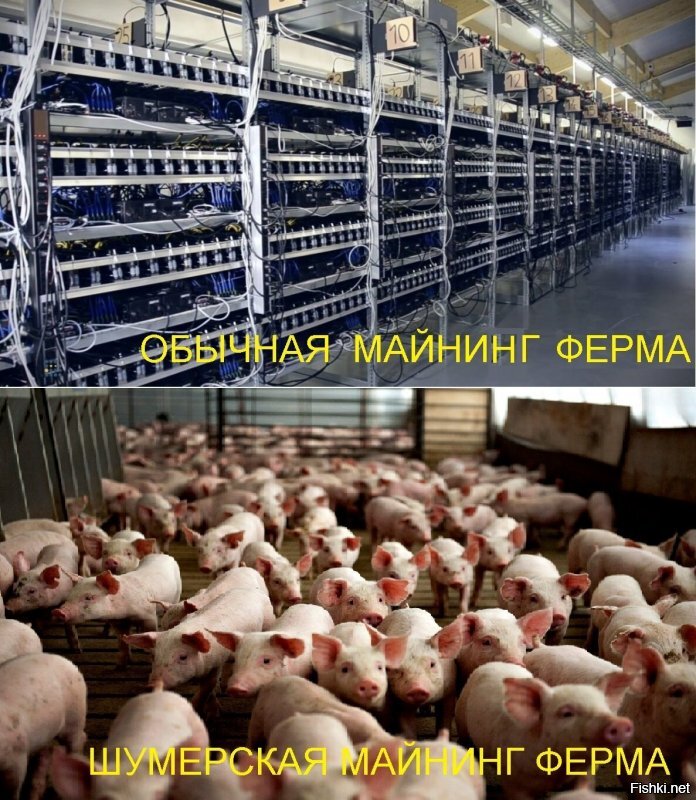 Укроширли - укромырли.  Ну братия бандэровци, тепер заживемо!