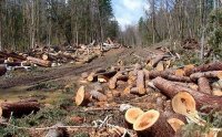 В своем глазу бревна не видно? Хохлы хоть по хозяйски, под чистую, а китайцы в Сибири как на фото. И имеем ли мы право теперь учить хохлов как жить.