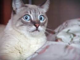 Смешные картинки и не очень