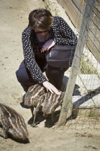 У меня не такие эпичные :)