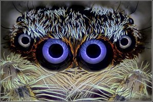 Так вот откуда BMW взяло идею!)