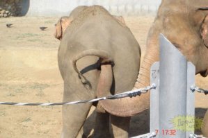 Эпичные фото из зоопарка, поход в который запомнится надолго