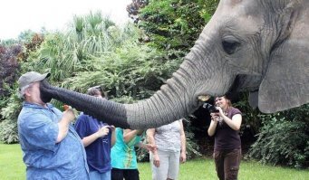 Эпичные фото из зоопарка, поход в который запомнится надолго