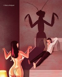 Богомол хладнокровно расправился с гигантским шершнем