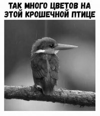 Смешные картинки и не очень