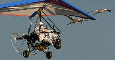 Не дело это - журавлям без проводника летать.)))