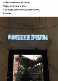 Четверостишия из соц сетей