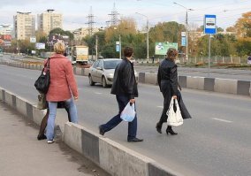 Иногда мне кажется, что животные умнее некоторых людей...